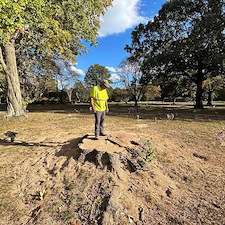Tree-Removal-with-Crane-at-Woodlawn-Cemetery 7
